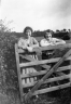 neg. Gwlad & another, gate