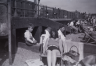 neg. Gwlad sea wall 2