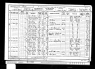 charlie williams 1901 census