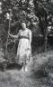 neg. Gwlad in trees